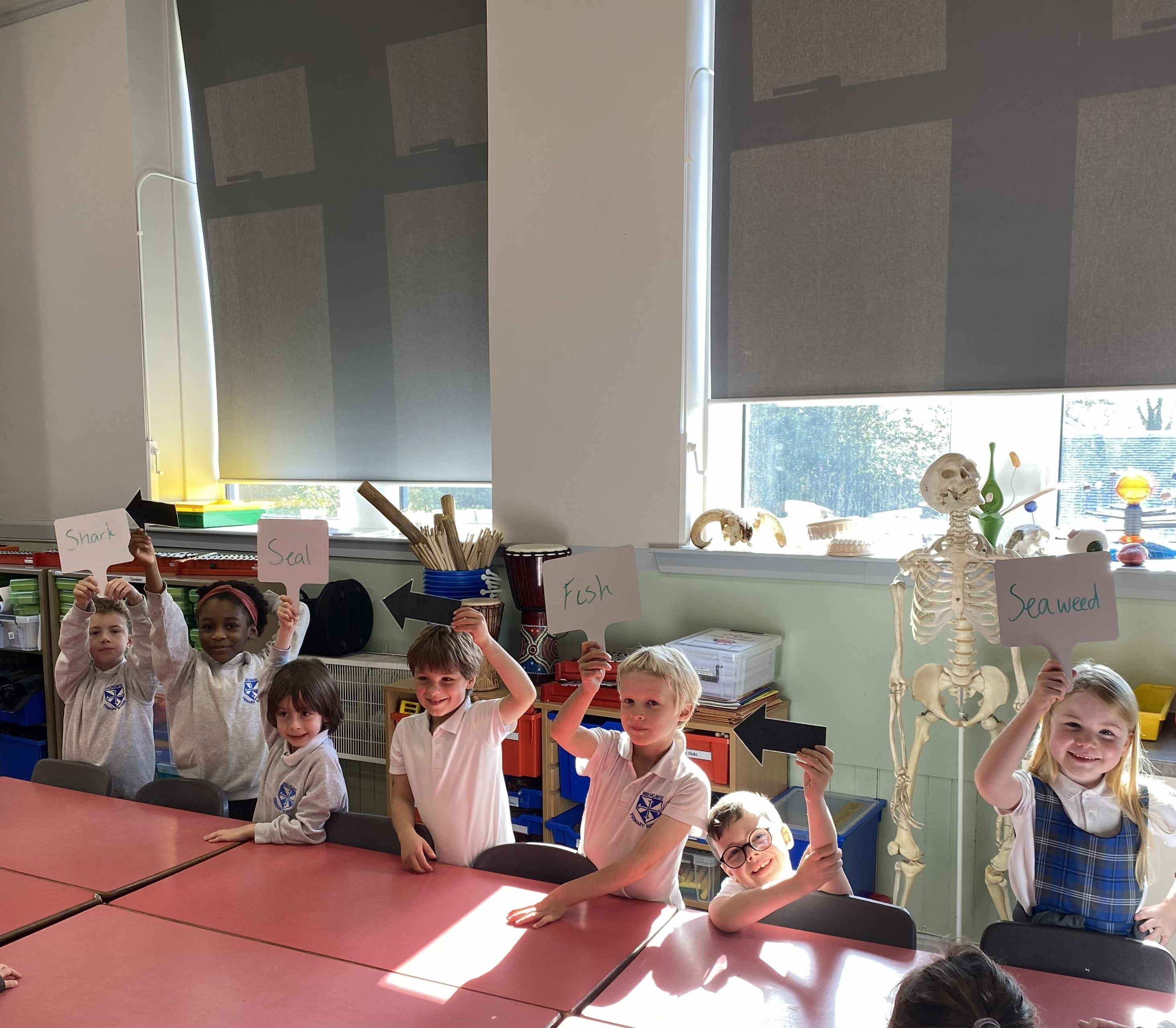 kids learning science