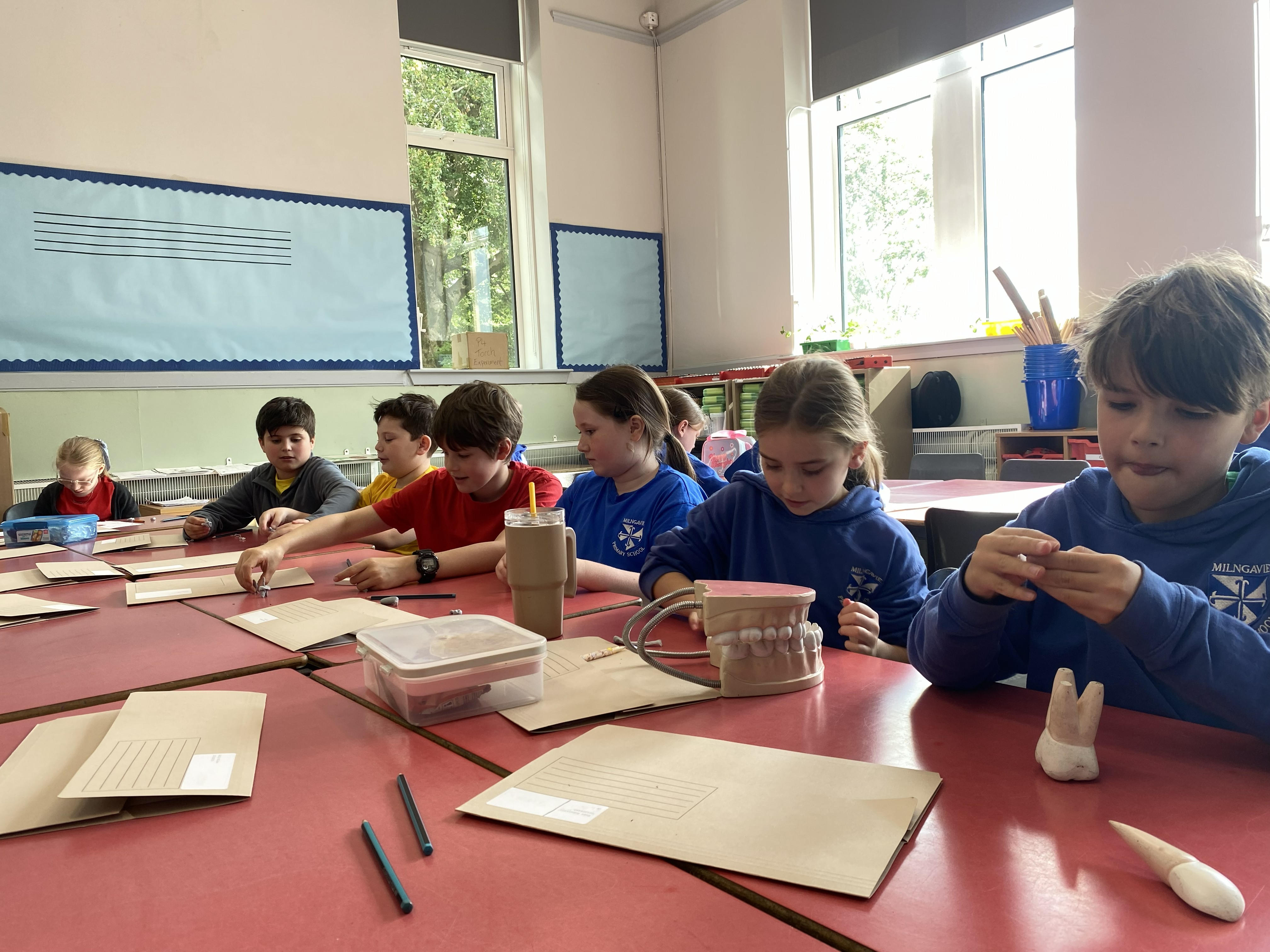 children learning Science