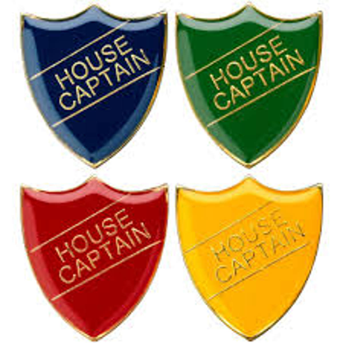 Welcome to Our New House Captains
